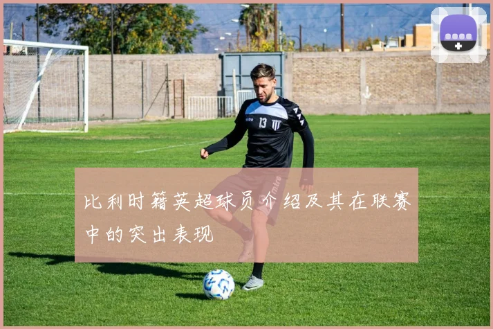 比利时籍英超球员介绍及其在联赛中的突出表现