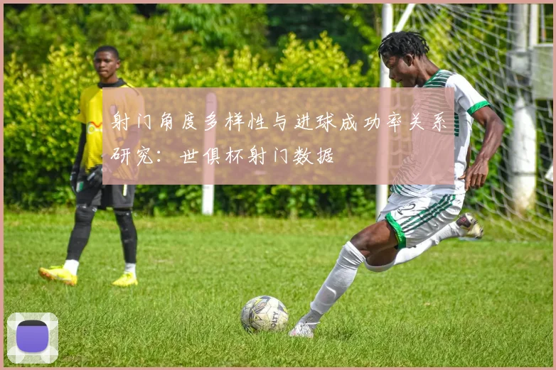 射门角度多样性与进球成功率关系研究：世俱杯射门数据