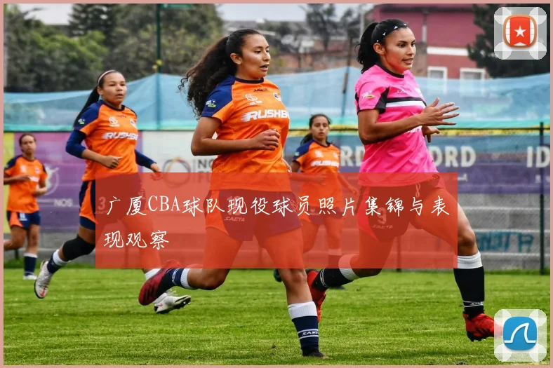 广厦CBA球队现役球员照片集锦与表现观察