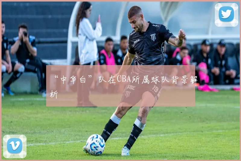 “中华白”队在CBA所属球队背景解析